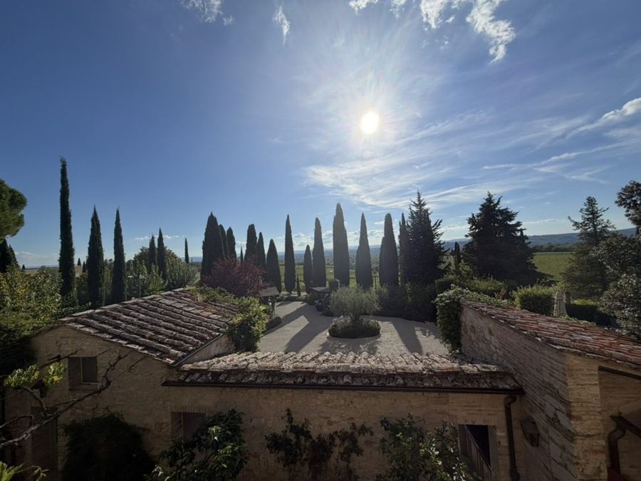 Cypress-lined grounds of a Tuscan villa