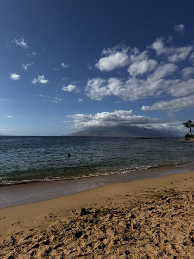 Maui, photographed on Kristina's family trip