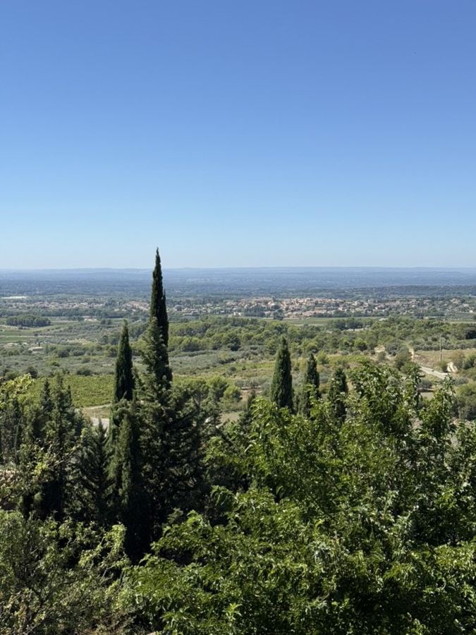 Provence, photographed on Kristina's family trip