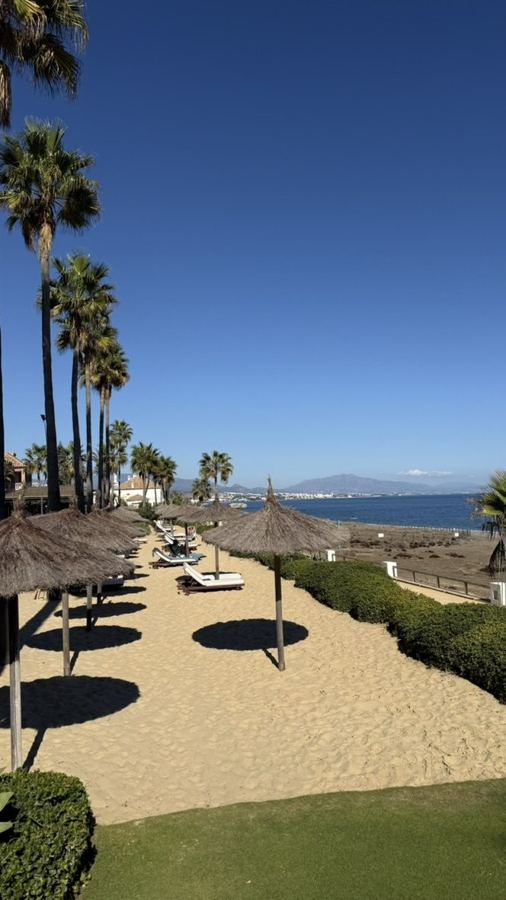 Palm trees and a quiet beach in southern Spain